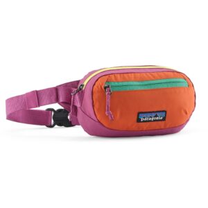 Terravia mini hip pack